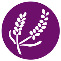 Benedict Academy - Mitcham, Surrey Benedict Academy - Mitcham, Surrey